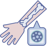 Фосфорно-кальциевый обмен